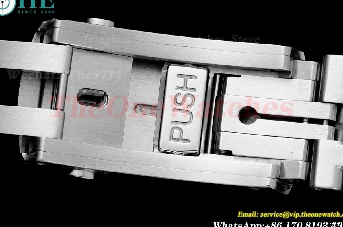 Seamaster Wht A8800 SS SS blue 300m 42mm JVSF 0112